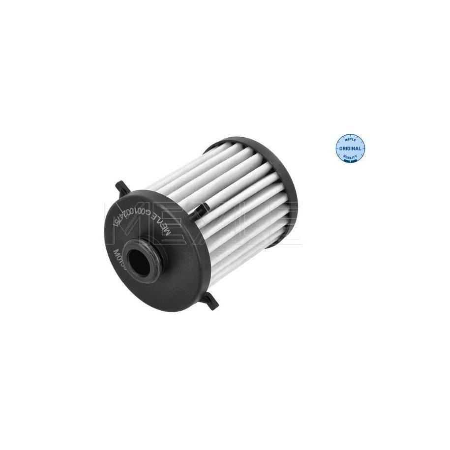 Automatic Transmission Filter MEYLE 1001361007 for AUDI