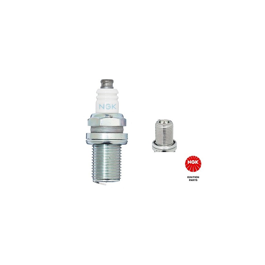 Spark Plug NGK 2000
