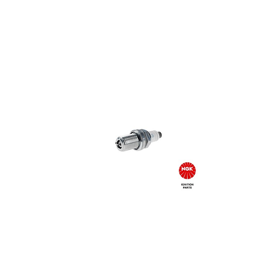 Spark Plug NGK 2001