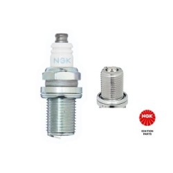 Spark Plug NGK 2001
