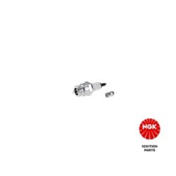 Spark Plug NGK 2144
