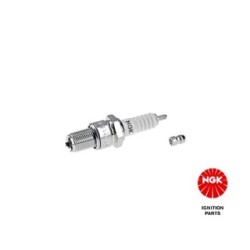 Spark Plug NGK 2528 for TVR