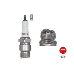 Spark Plug NGK 2976