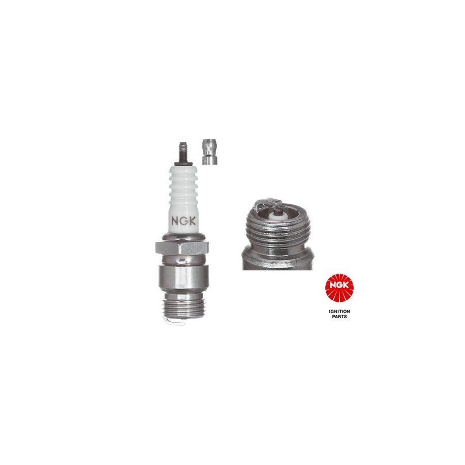 Spark Plug NGK 2976
