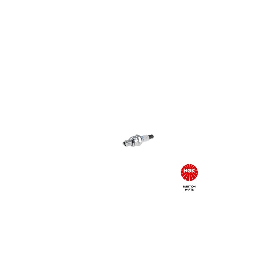 Spark Plug NGK 3066