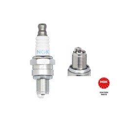 Spark Plug NGK 3066