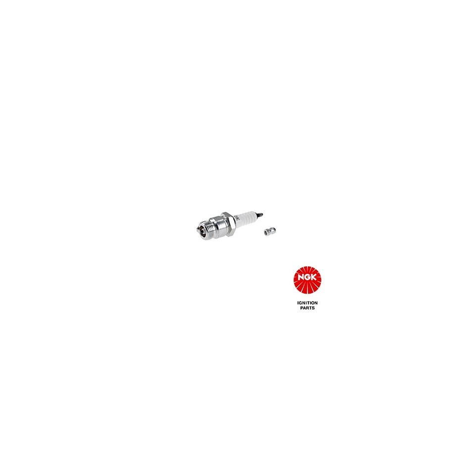 Spark Plug NGK 4489
