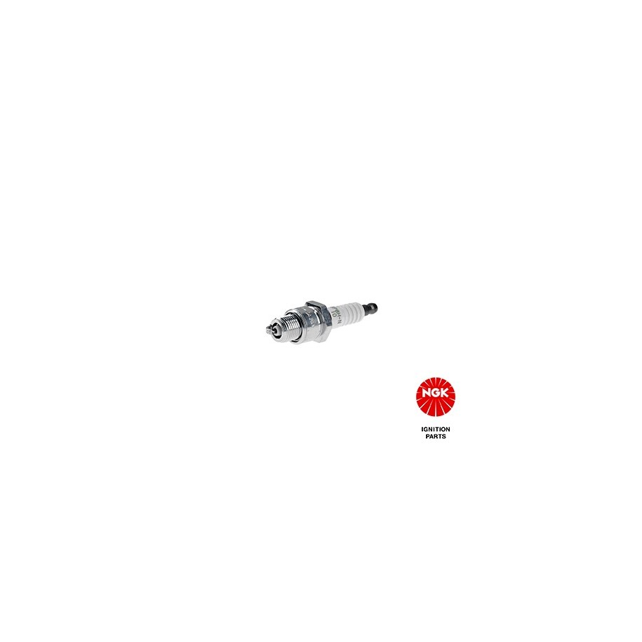 Spark Plug NGK 4838 OE 816737B2