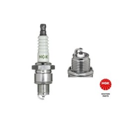 Spark Plug NGK 4838 OE 816737B2