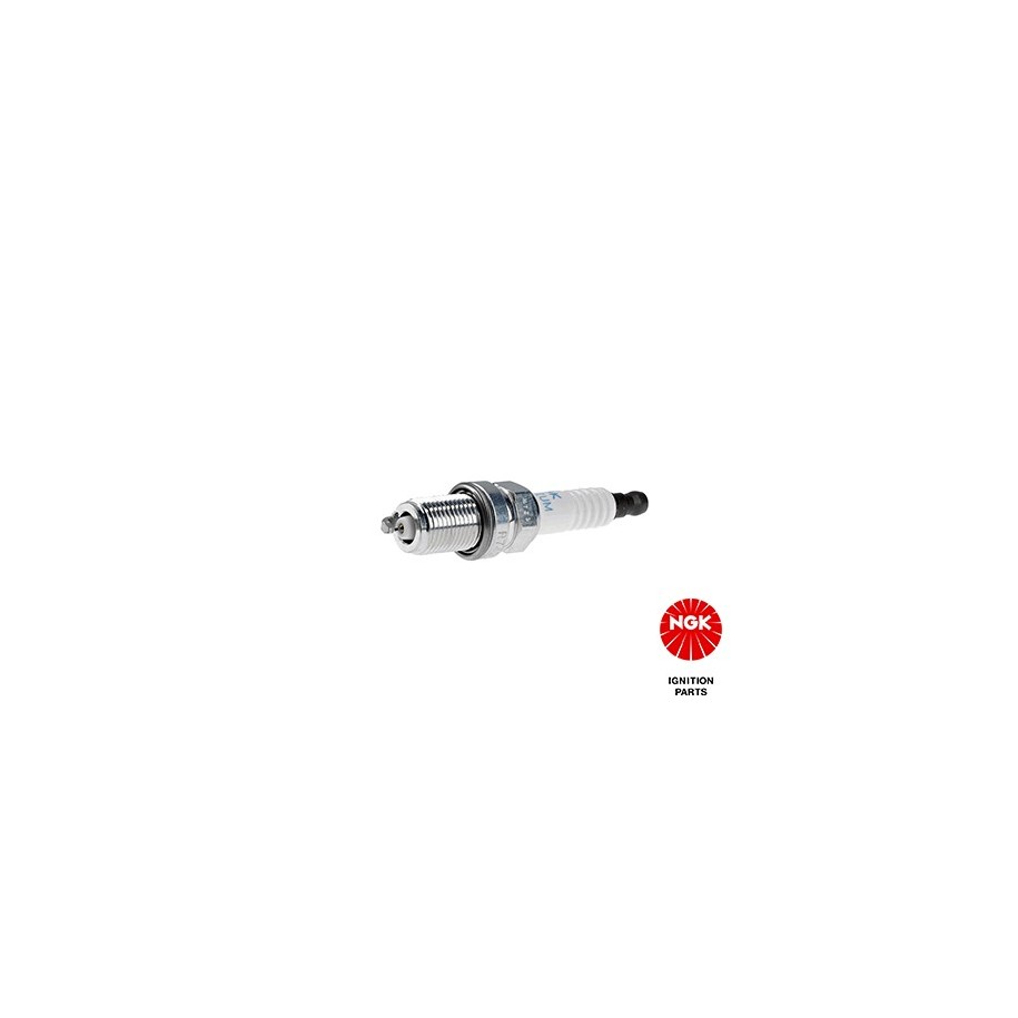 Spark Plug NGK 4895