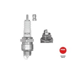 Spark Plug NGK 6221