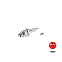 Spark Plug NGK 6421
