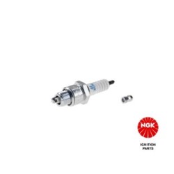 Spark Plug NGK 6422 for FIAT