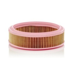 Air Filter MANN & HUMMEL C2021 for AUSTIN