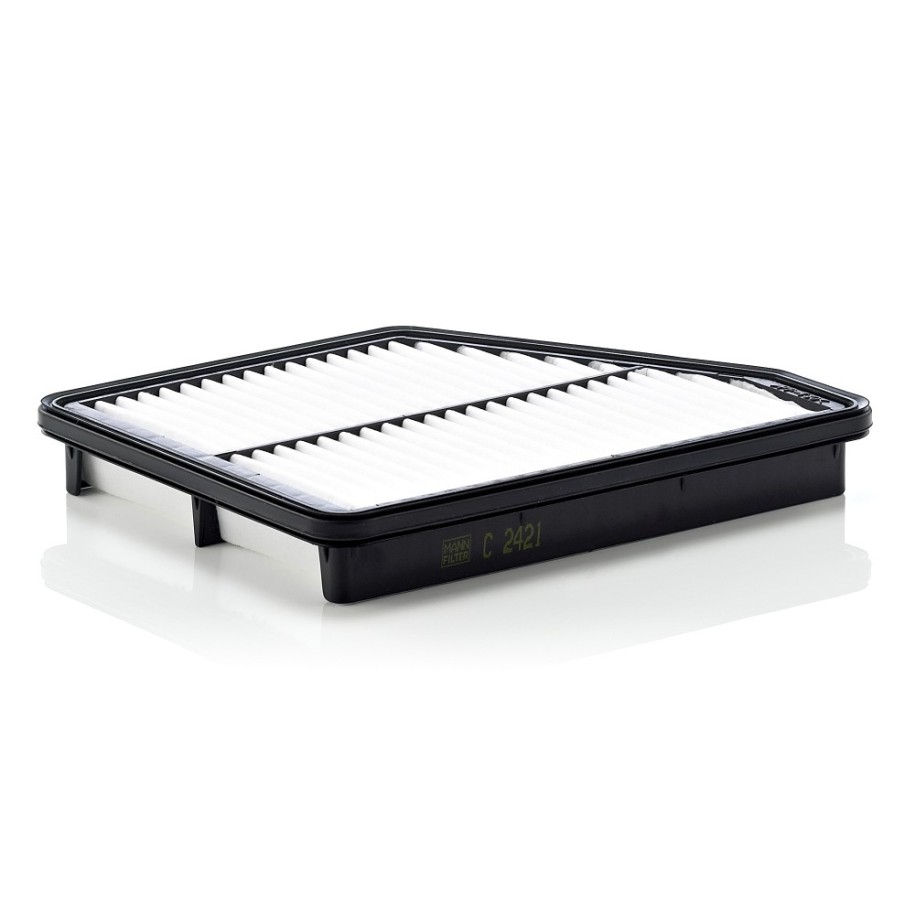 Air Filter MANN & HUMMEL C2421 for HYUNDAI MATRIX