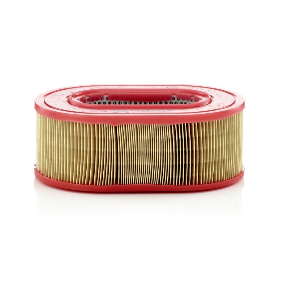 Air Filter MANN & HUMMEL C25124