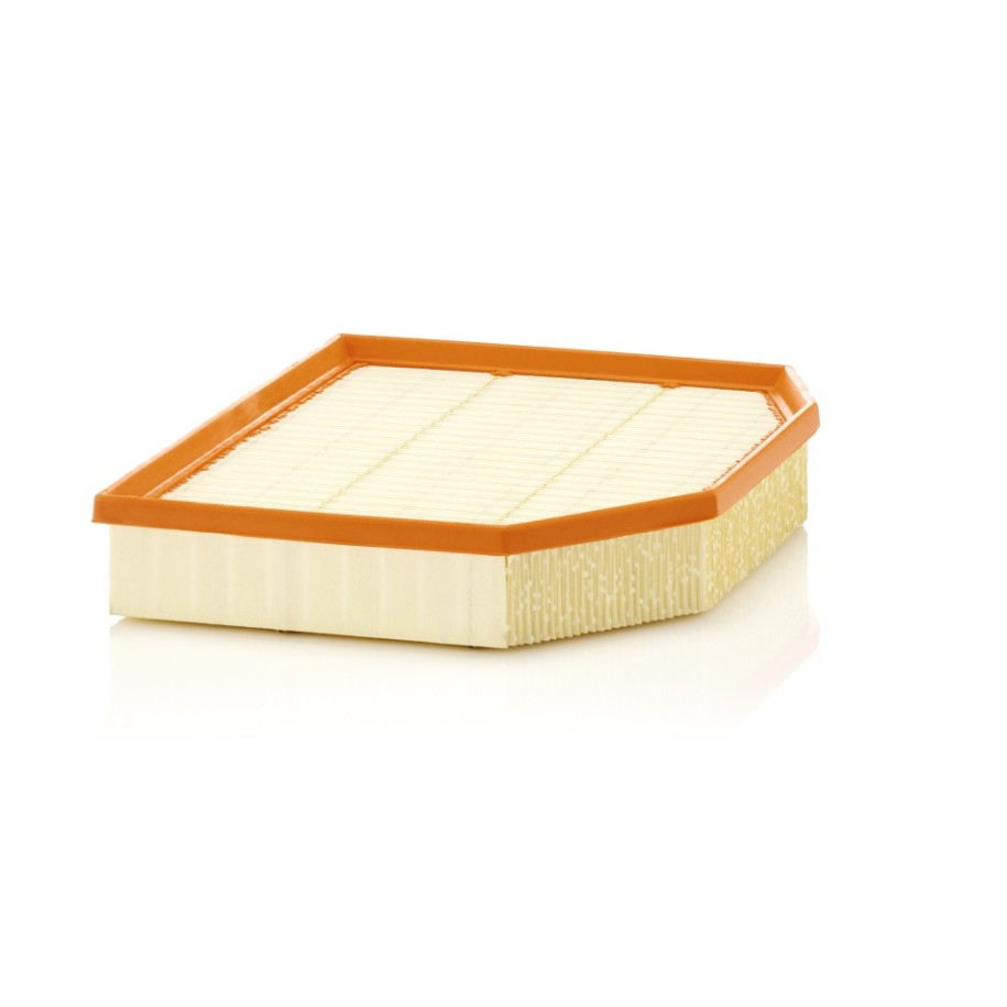 Air Filter MANN & HUMMEL C29132 for BMW X3