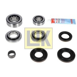Differential Mounting LUK 462021510 for BMW 5