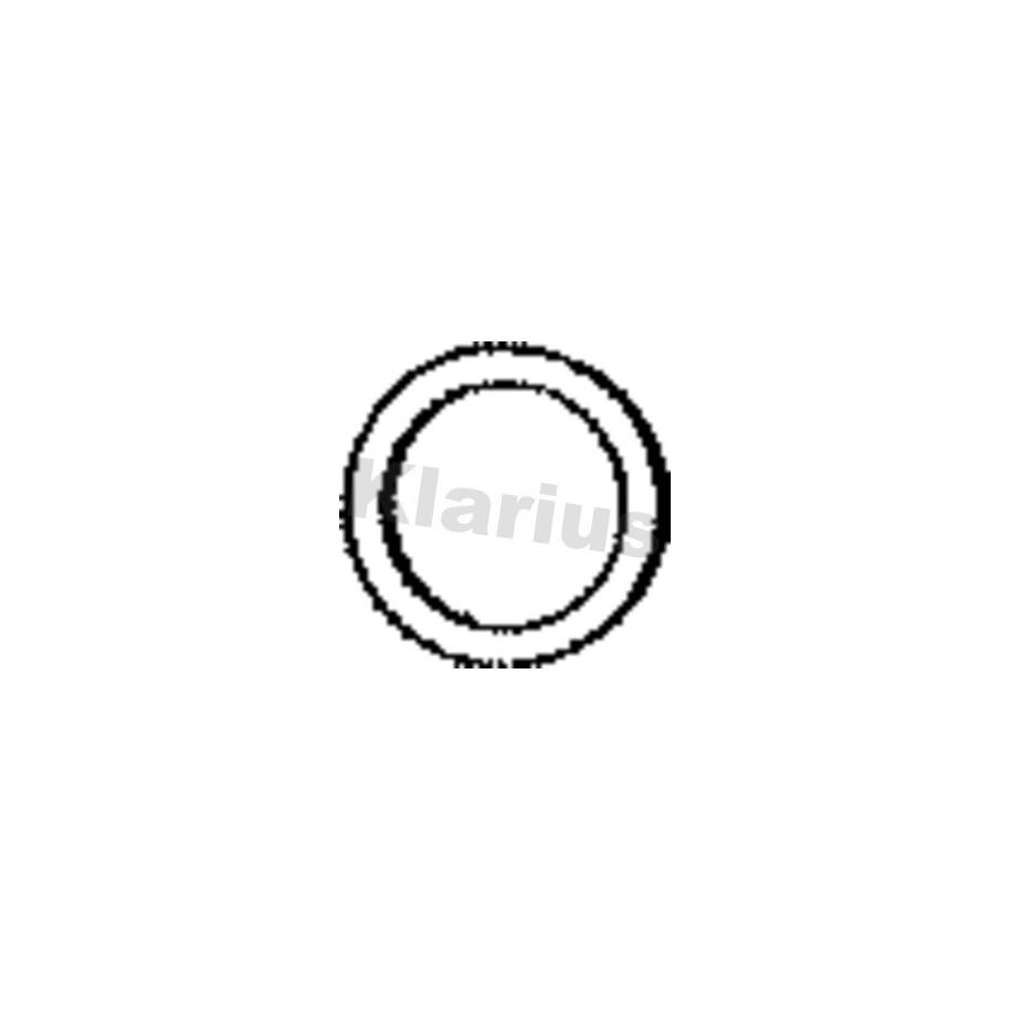 Exhaust Pipe Gasket KLARIUS 410781