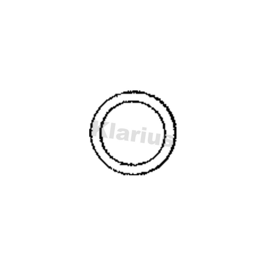 Exhaust Pipe Seal Ring KLARIUS GMG43