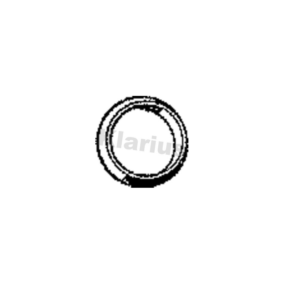 Exhaust Pipe Gasket KLARIUS HYG5