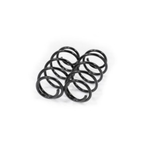 Suspension Kit Springs - FEBEST 1808008FKIT