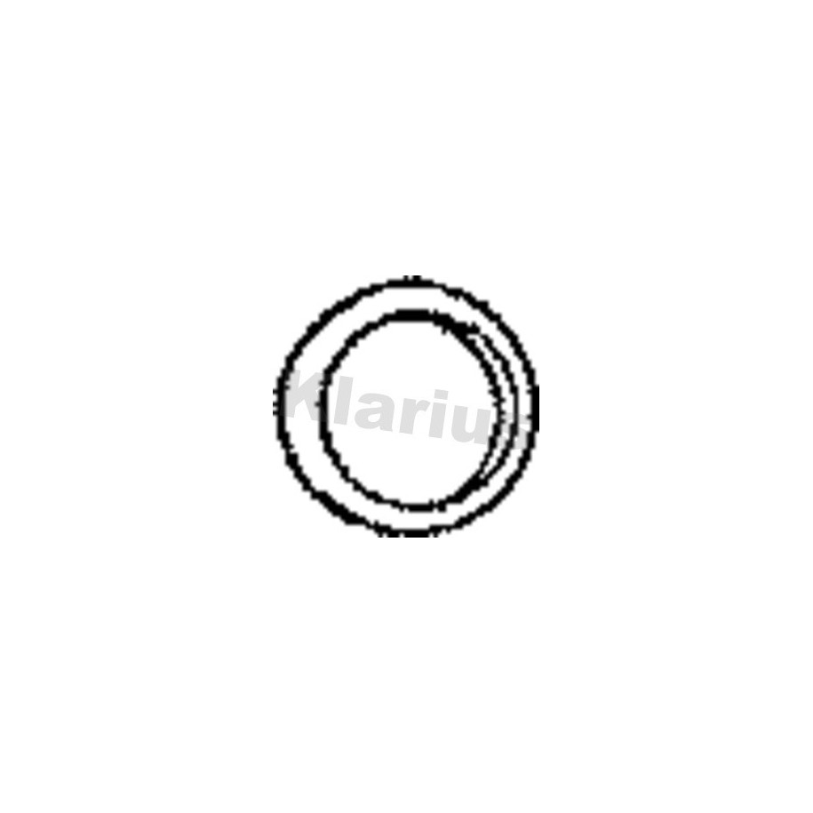 Exhaust Pipe Seal Ring KLARIUS VAG29