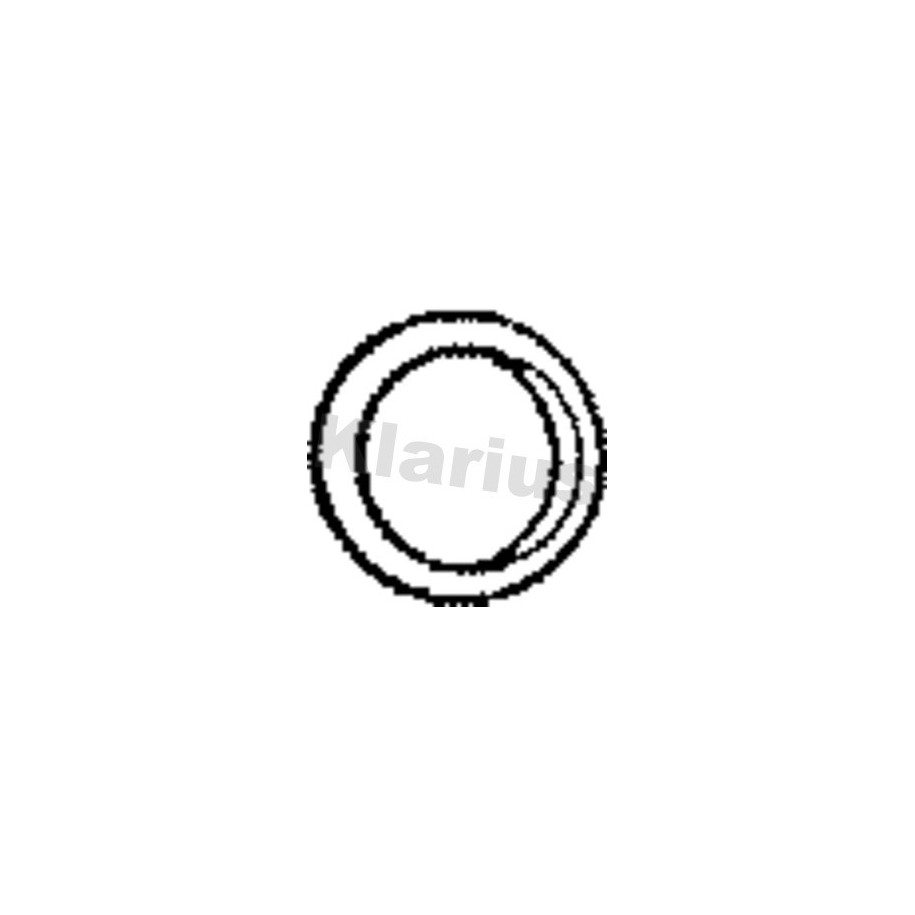Exhaust Pipe Seal Ring KLARIUS VAG51