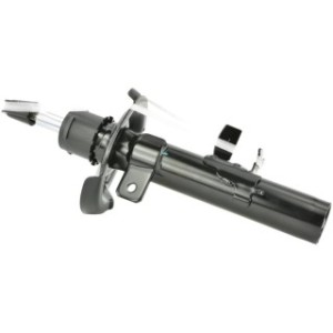 Shock Absorber - FEBEST 216651984FL