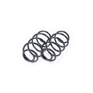 Suspension Kit Springs - FEBEST 2308013FKIT