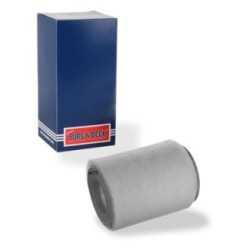 Air Filter BORG & BECK BFA2499 for SMART OE 1600940104