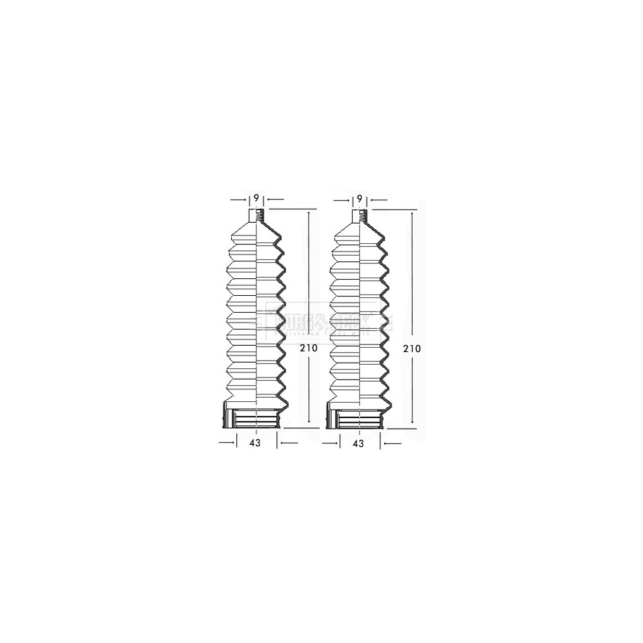 Steering Rack Boot BORG & BECK BSG3105 for SEAT