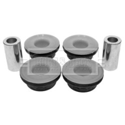 Control Trailing Arm Mounting BORG & BECK BSK6956 for AC