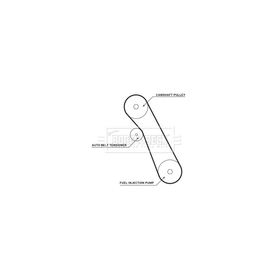 Water Pump & Timing Belt Kit BORG & BECK BTW1049 for FORD
