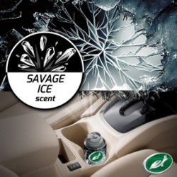 Turtle Wax Odor-X Whole Car Blast 54120 (Carpet & Upholstery Cleaners) Fragrance Savage Ice