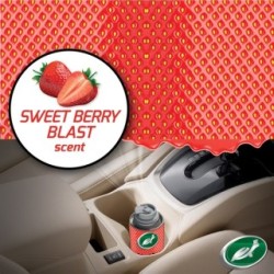 Turtle Wax Odor-X Whole Car Blast 54117 (Carpet & Upholstery Cleaners) Fragrance Berry Blast