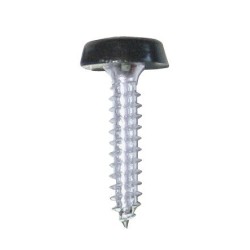 Number Plate Plastic Top Screw - Pack Of 2 WOT-NOTS PWN631 (SelfTap Screw & Cap) Colour Black