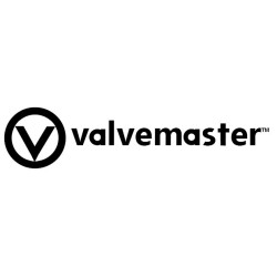 Valvemaster - 2 in 1 Formula - 250ml 1768C (Petrol Additives)