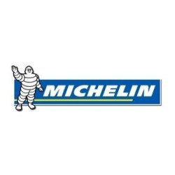 Foot Pump - Digital - Double MICHELIN 12203B (Foot Pumps)