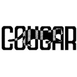 Car Ramp Extensions - Pair COUGAR RM1 (Ramps)