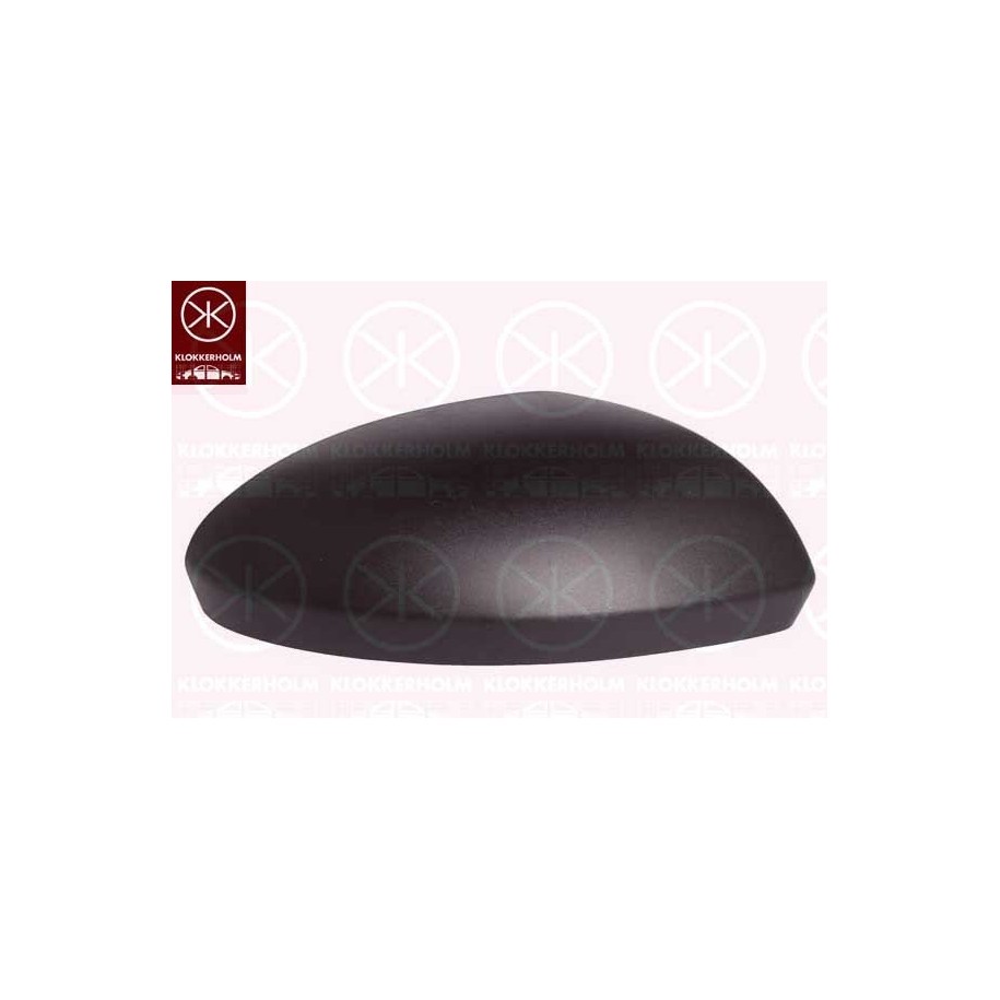 Exterior Mirror Housing 13061052 for DACIA LOGAN
