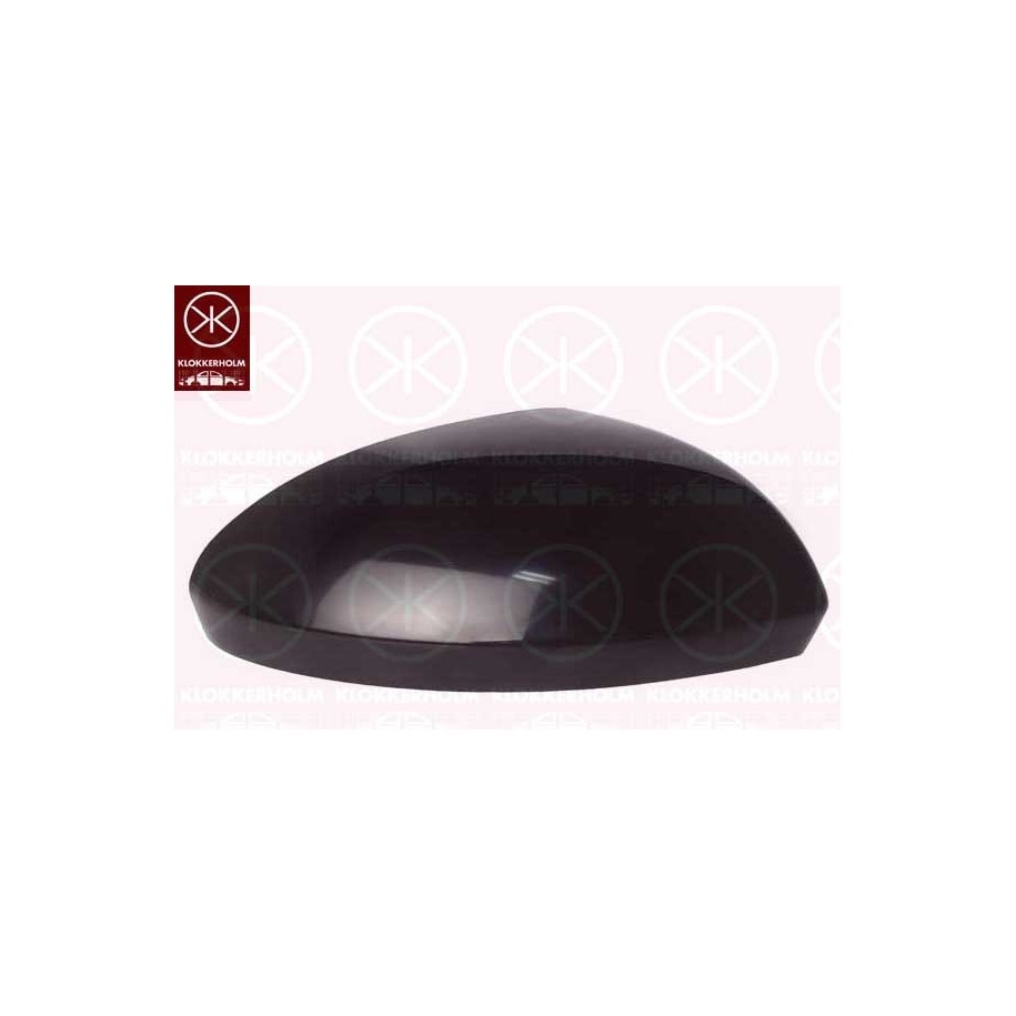Exterior Mirror Housing 13061054 for DACIA LOGAN