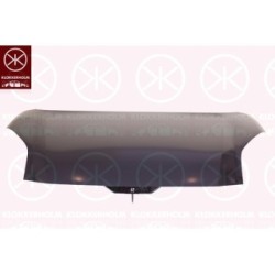 Bonnet 2572280A1 for FORD PUMA OE 2645539