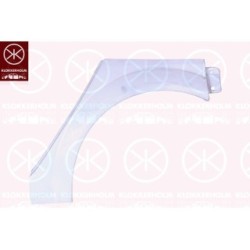 Quarter Panel 6041581 for RENAULT