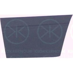 Door 9557121 for VW CARAVELLE