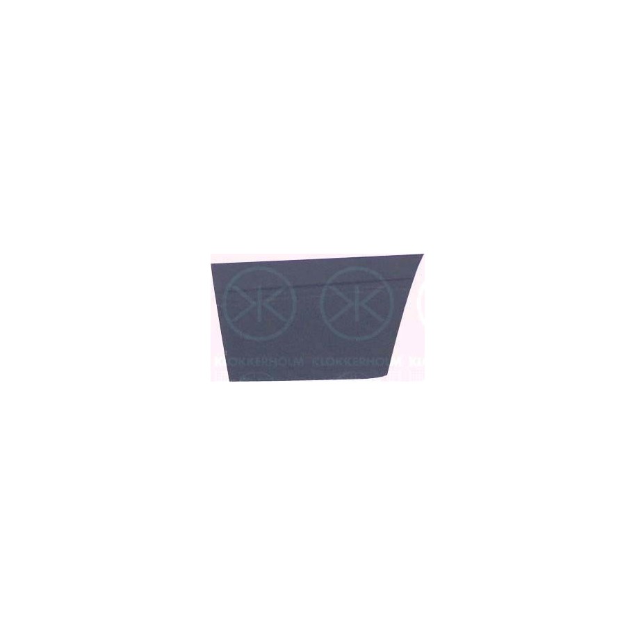 Door 9557121 for VW CARAVELLE