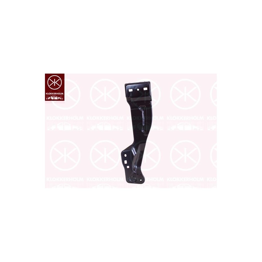 Front Slam Cowling Panel 5511261 for DS