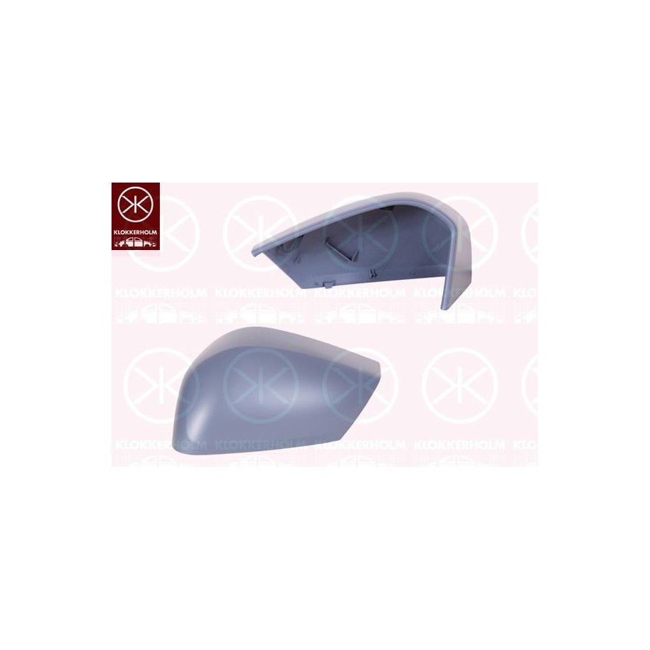 Exterior Mirror Housing 05431051 for CITROEN