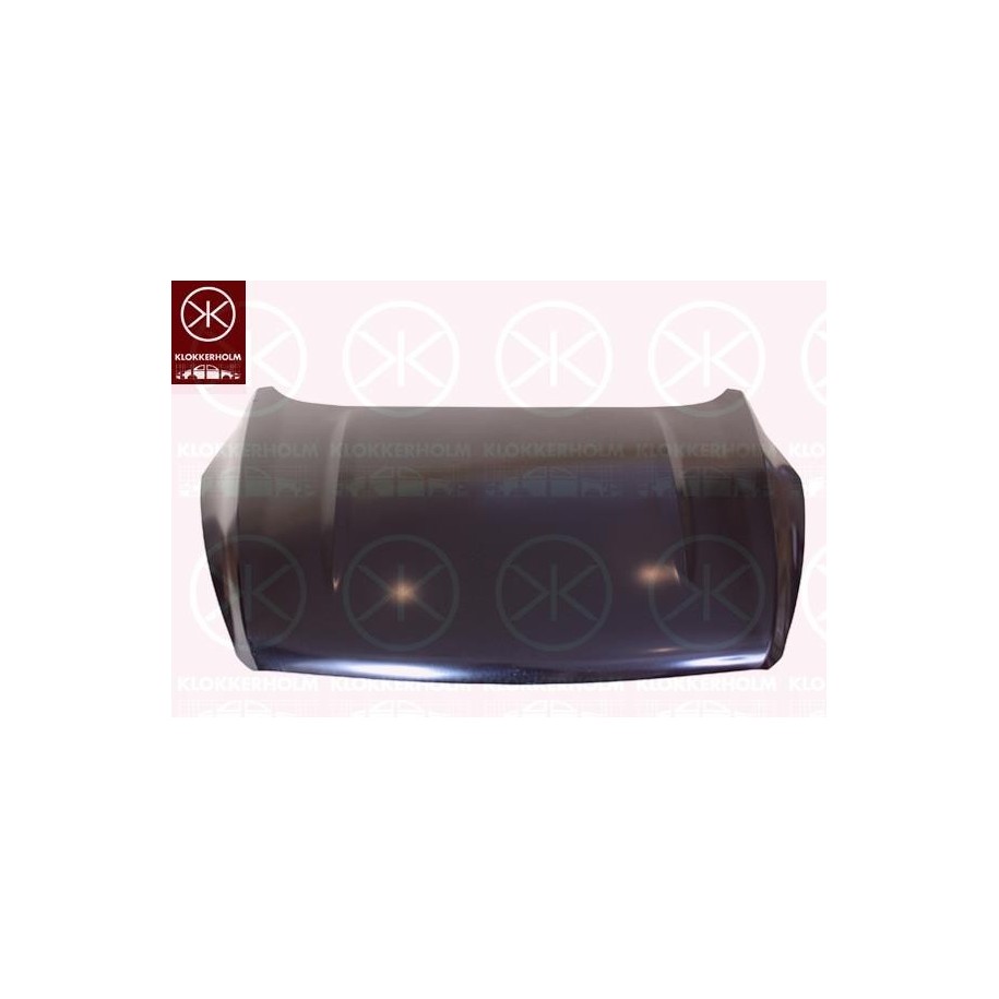 Bonnet 2579281 for FORD KUGA 2 064 860