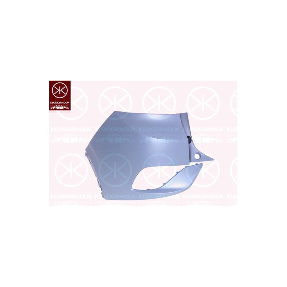 Bumper 9579961 for VW ID.4 11A 807 983 GRU
